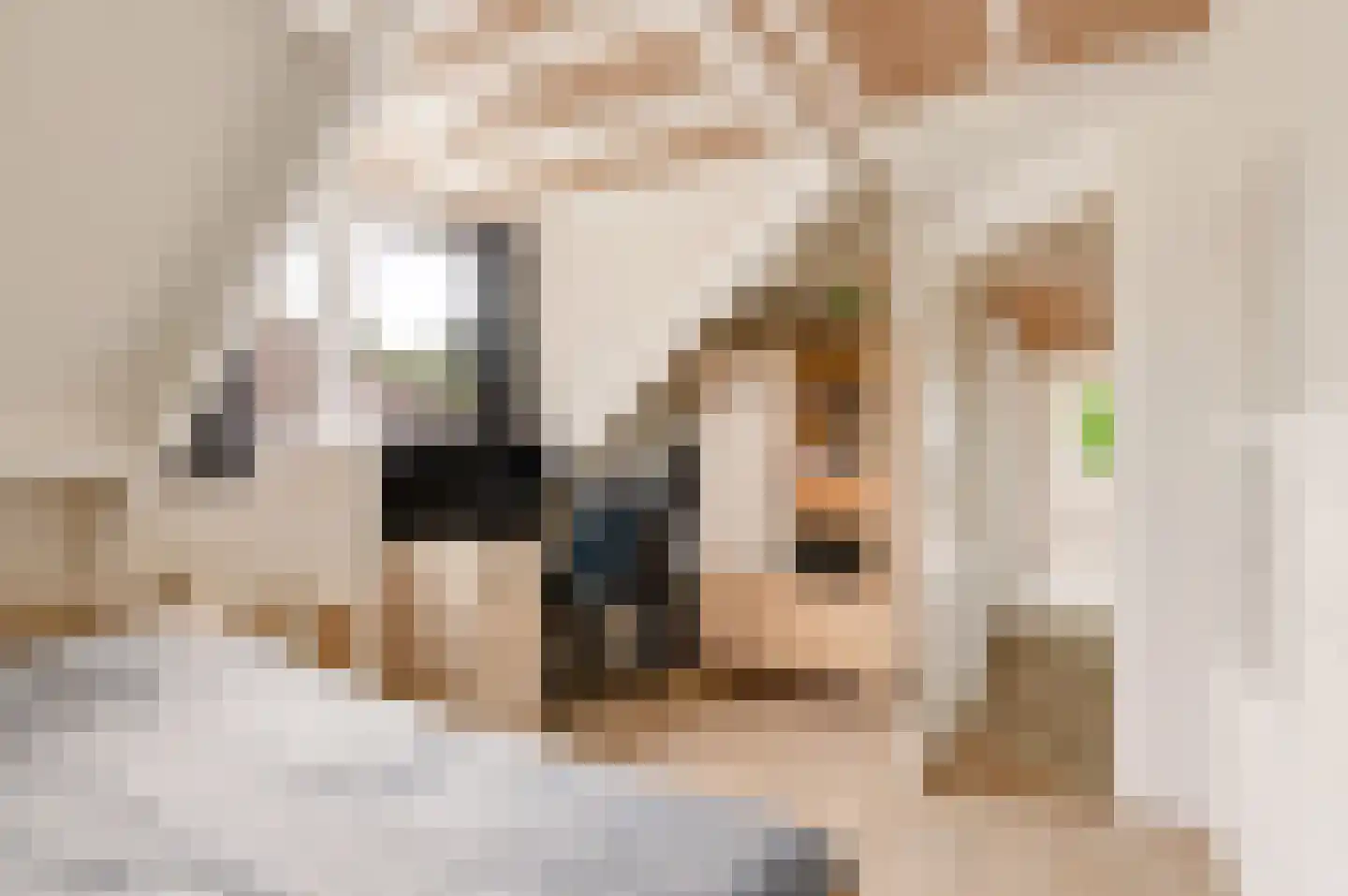 Teisterbantstraat 11 Kerk-Avezaath thumbnail 35