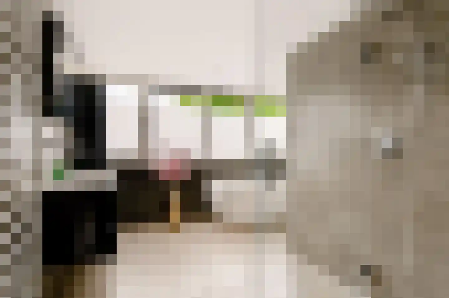 Teisterbantstraat 11 Kerk-Avezaath thumbnail 37