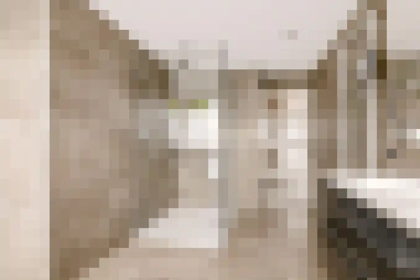 Teisterbantstraat 11 Kerk-Avezaath thumbnail 41