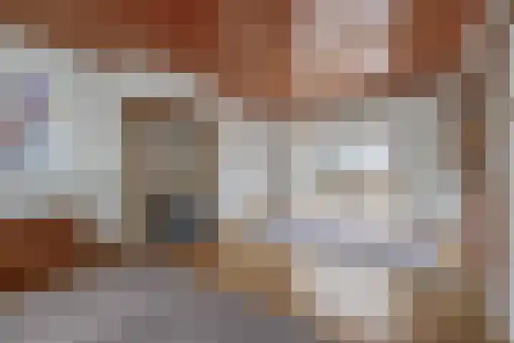 Teisterbantstraat 16 's-Hertogenbosch thumbnail 14