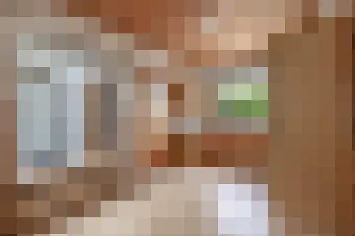 Teisterbantstraat 16 's-Hertogenbosch thumbnail 20