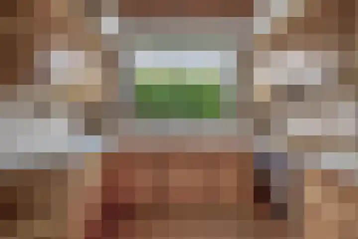 Teisterbantstraat 16 's-Hertogenbosch thumbnail 21