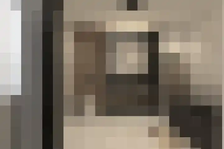 Teisterbantstraat 16 's-Hertogenbosch thumbnail 33