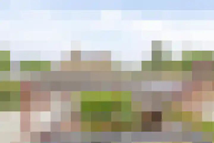 Teisterbantstraat 16 's-Hertogenbosch thumbnail 34