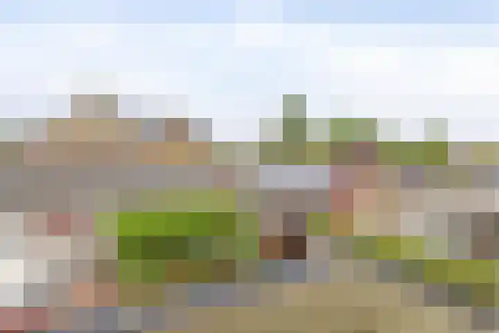 Teisterbantstraat 16 's-Hertogenbosch thumbnail 35