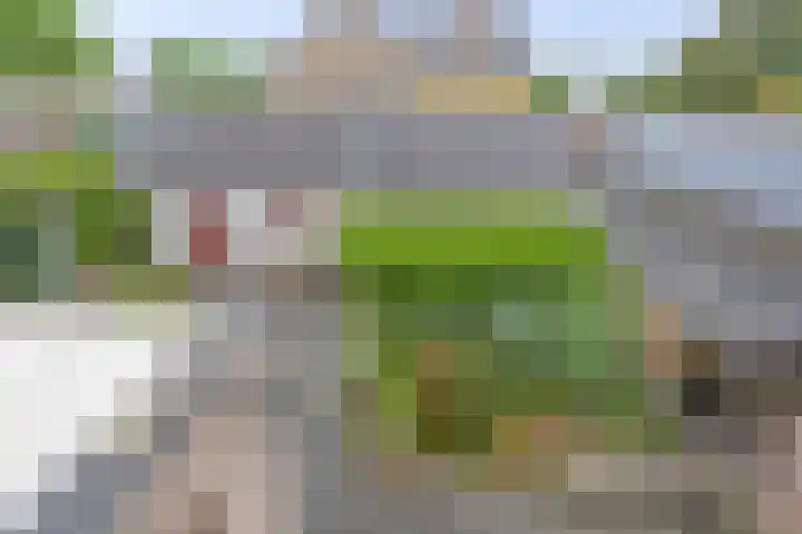 Teisterbantstraat 16 's-Hertogenbosch thumbnail 36