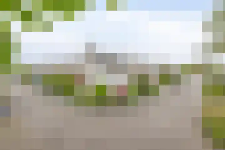 Teisterbantstraat 16 's-Hertogenbosch thumbnail 4