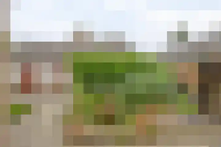 Teisterbantstraat 16 's-Hertogenbosch thumbnail 42