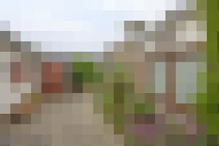 Teisterbantstraat 16 's-Hertogenbosch thumbnail 43