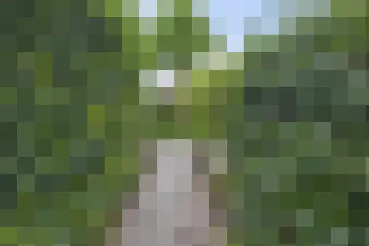 Teisterbantstraat 16 's-Hertogenbosch thumbnail 44