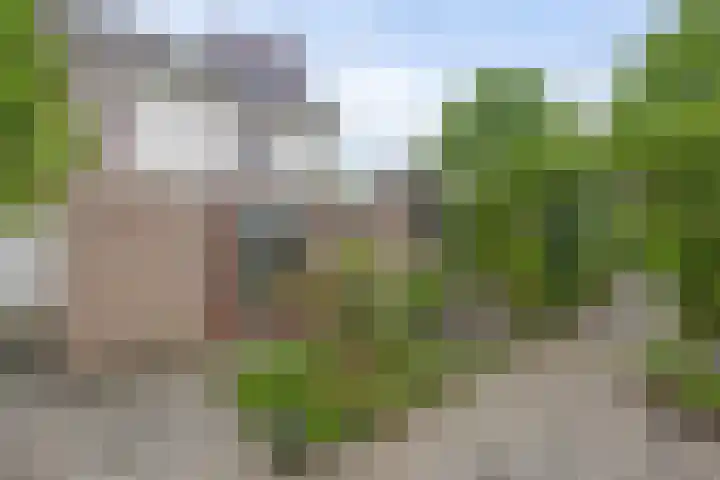 Teisterbantstraat 16 's-Hertogenbosch thumbnail 45