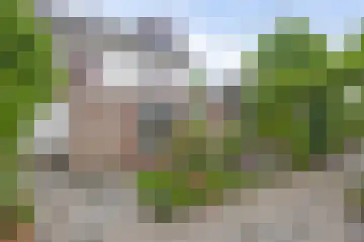 Teisterbantstraat 16 's-Hertogenbosch thumbnail 46