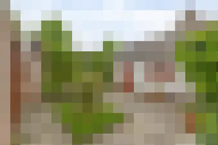 Teisterbantstraat 16 's-Hertogenbosch thumbnail 48