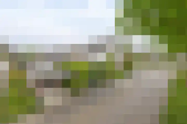 Teisterbantstraat 16 's-Hertogenbosch thumbnail 54