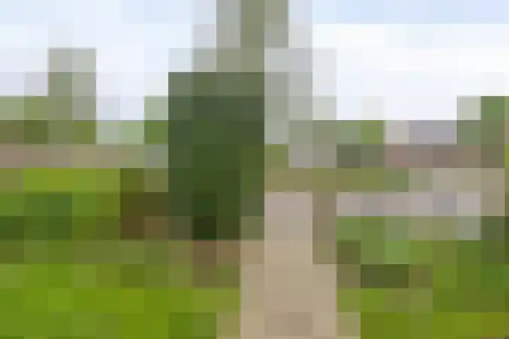 Teisterbantstraat 16 's-Hertogenbosch thumbnail 6
