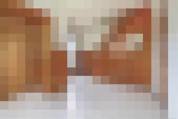 Teisterbantstraat 16 's-Hertogenbosch thumbnail 8