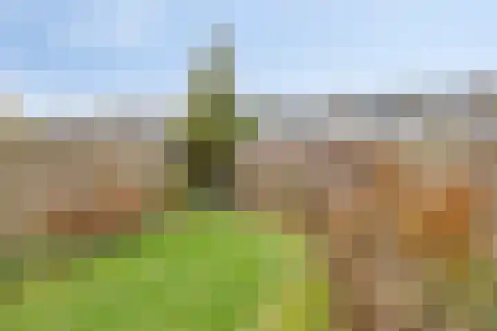 Teisterbantstraat 18 Arnhem thumbnail 39