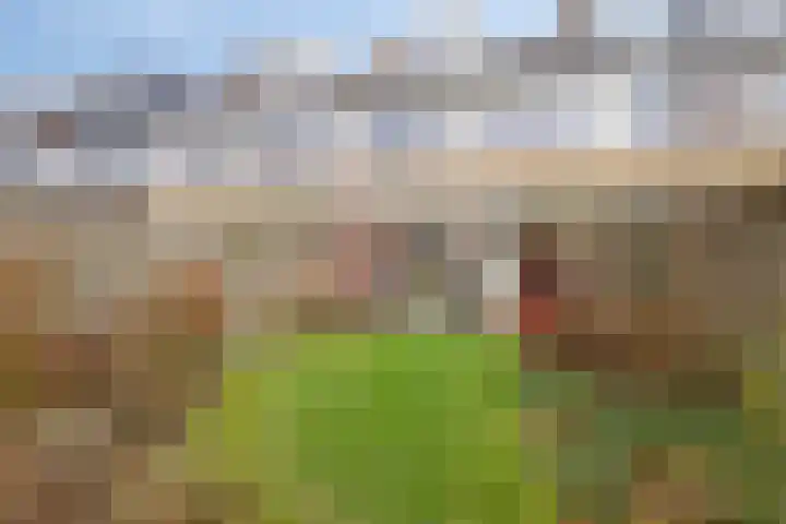 Teisterbantstraat 18 Arnhem thumbnail 41