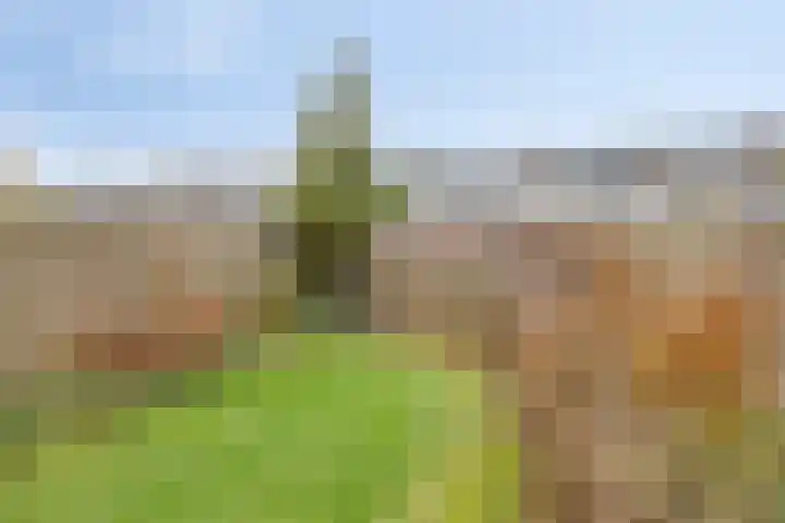 Teisterbantstraat 18 Arnhem thumbnail 5
