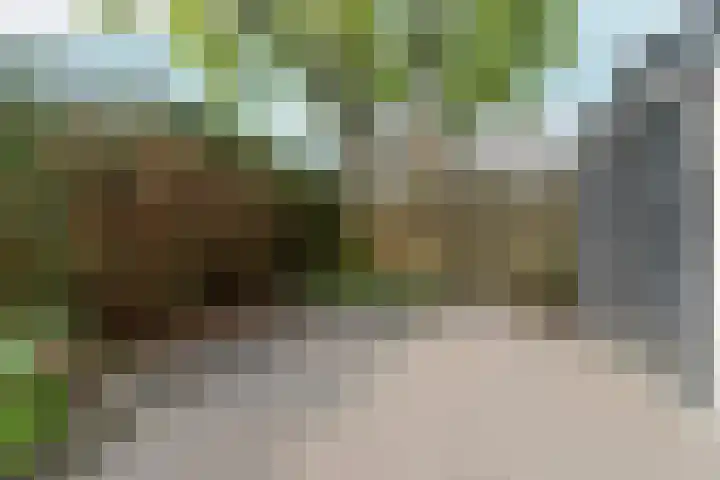 Teisterbantstraat 28 Arnhem thumbnail 26