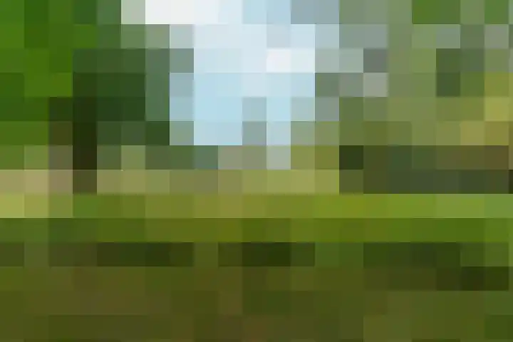 Teisterbantstraat 28 Arnhem thumbnail 30