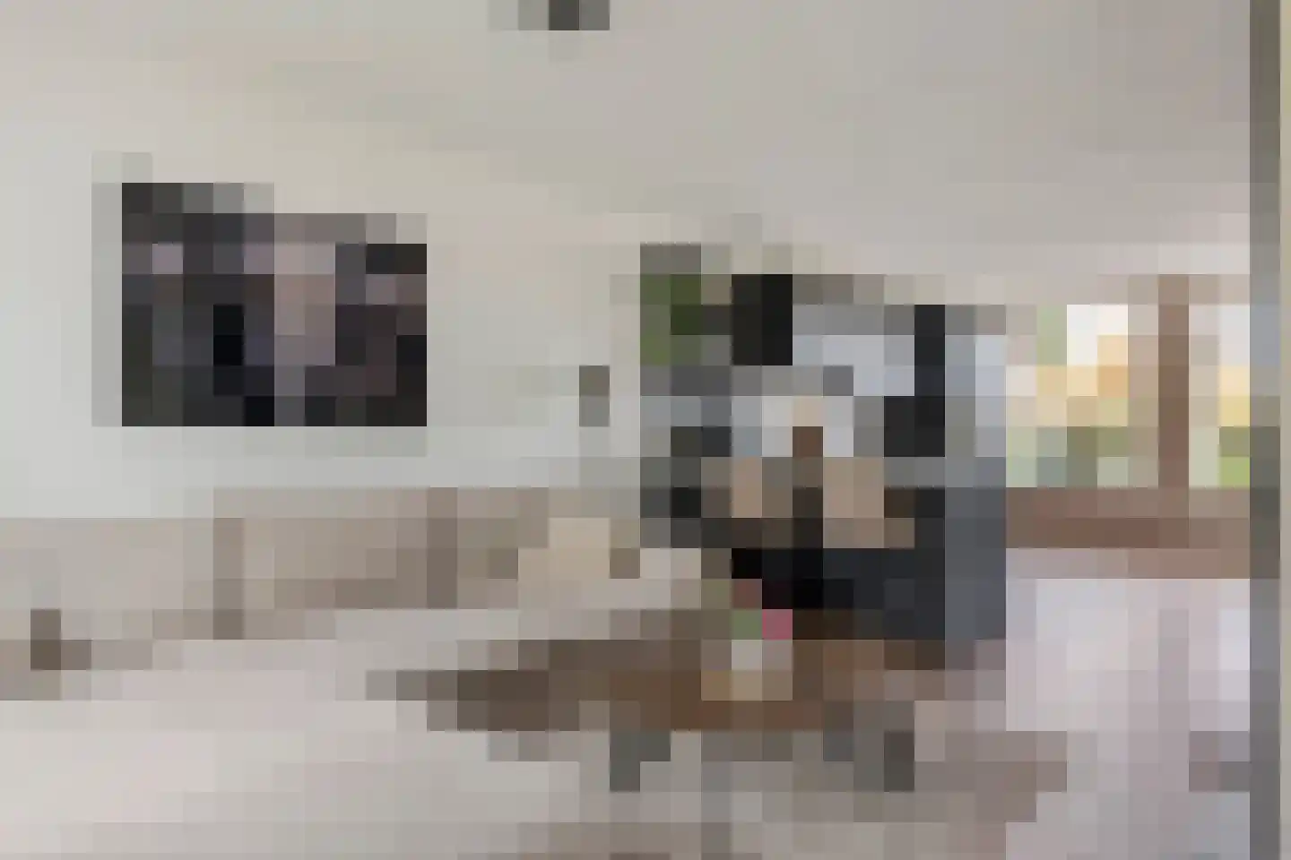 Teisterbantstraat 6 Kerk-Avezaath thumbnail 13
