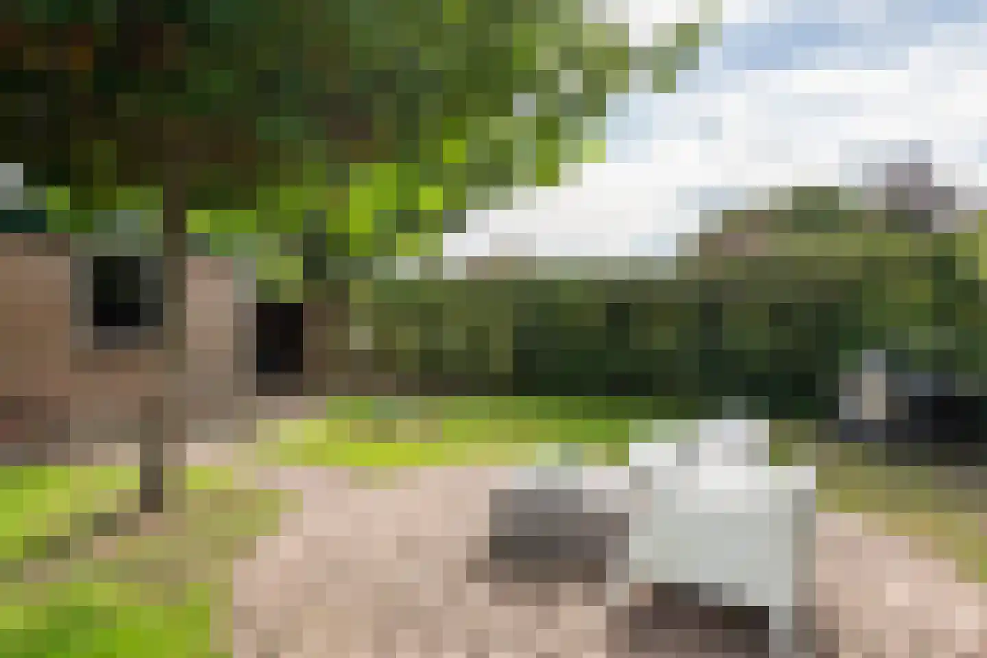 Teisterbantstraat 6 Kerk-Avezaath thumbnail 43