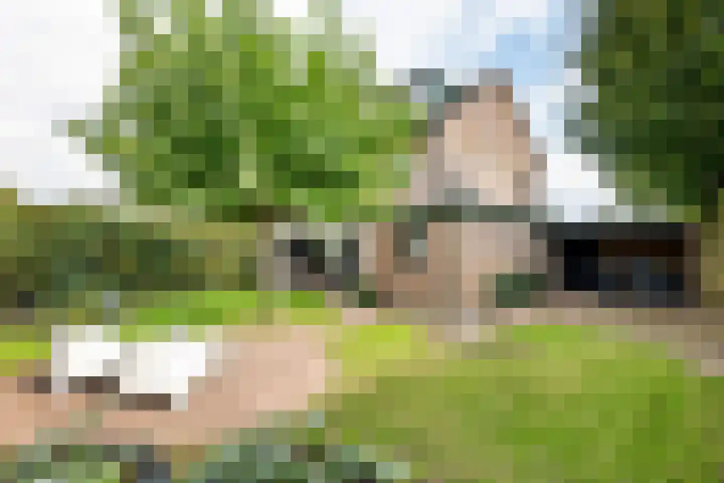 Teisterbantstraat 6 Kerk-Avezaath thumbnail 45
