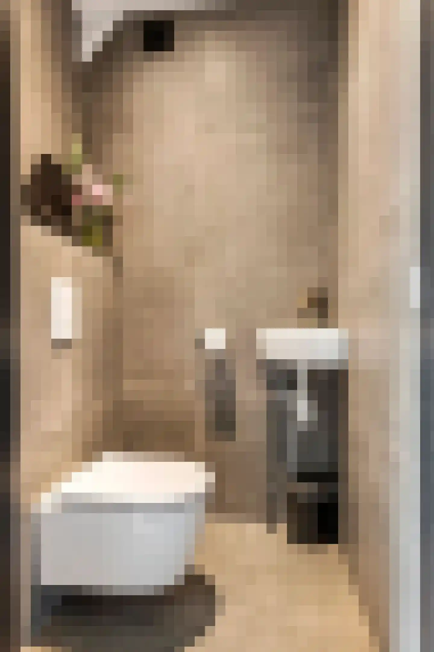 Teisterbantstraat 6 Kerk-Avezaath thumbnail 6