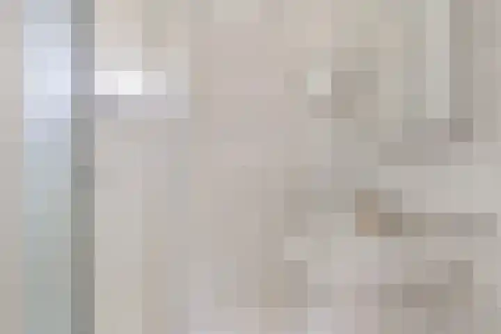 Teldershof 10 Eindhoven thumbnail 20