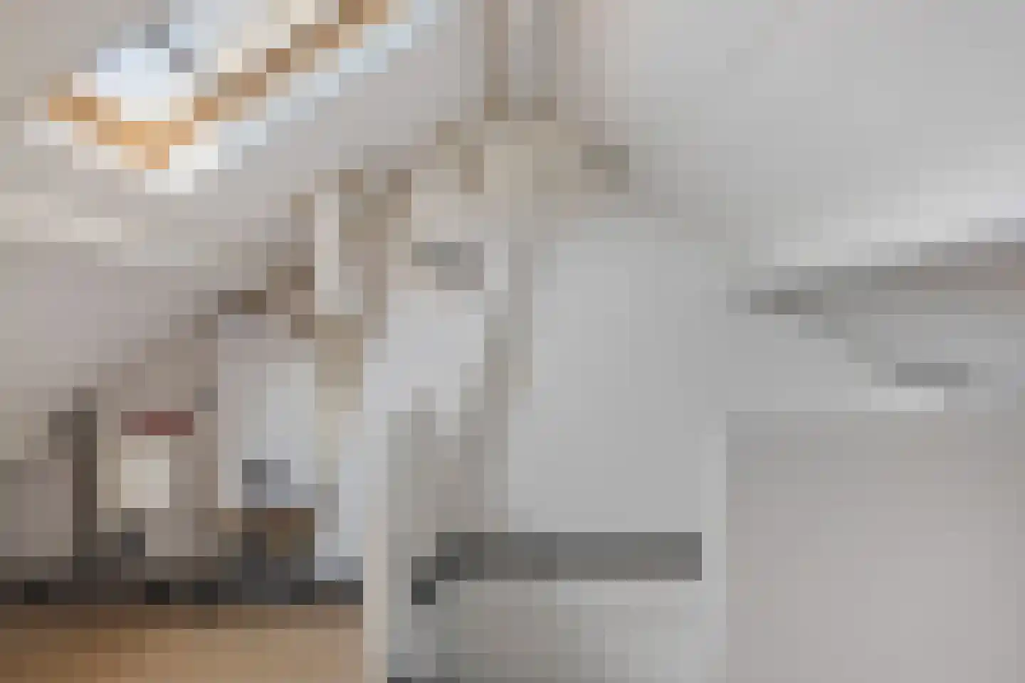 Teldershof 10 Eindhoven thumbnail 22