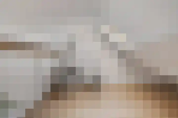 Teldershof 10 Eindhoven thumbnail 23