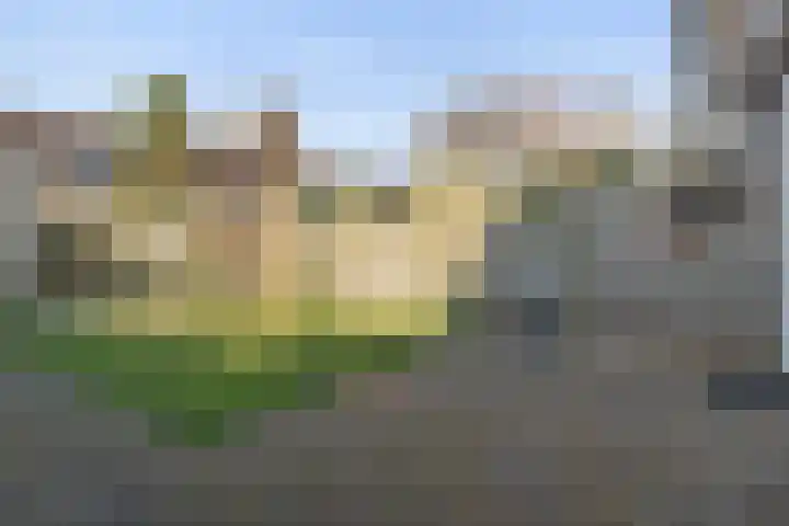 Teldershof 10 Eindhoven thumbnail 26