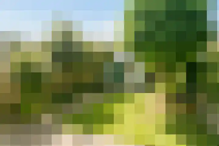 Teldershof 10 Eindhoven thumbnail 27