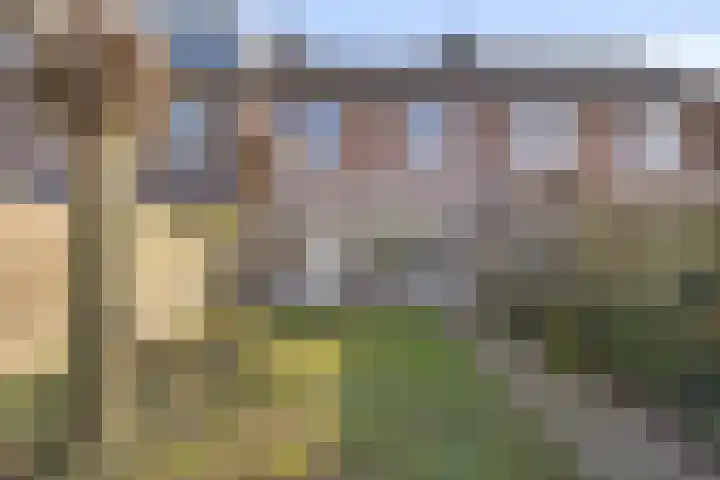 Teldershof 10 Eindhoven thumbnail 28
