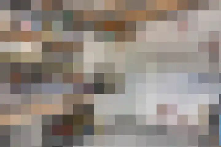 Teldershof 2 Oosterhout thumbnail 15
