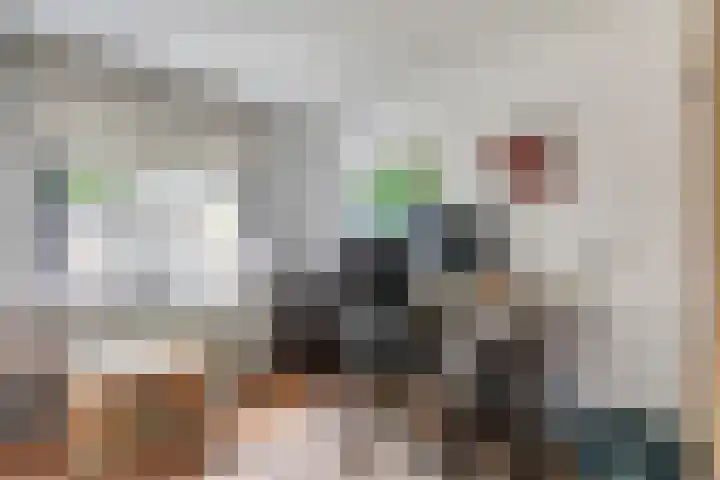 Teldershof 2 Oosterhout thumbnail 16