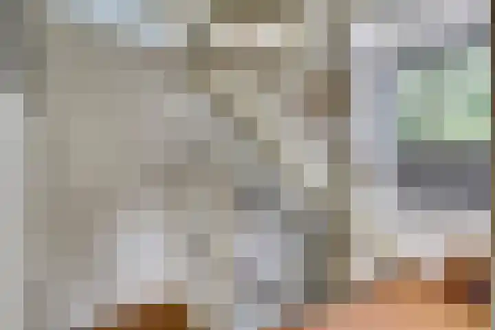 Teldershof 2 Oosterhout thumbnail 17
