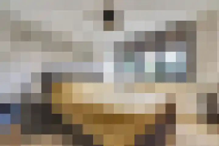 Teldershof 2 Oosterhout thumbnail 19
