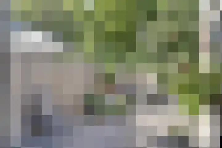 Teldershof 2 Oosterhout thumbnail 28