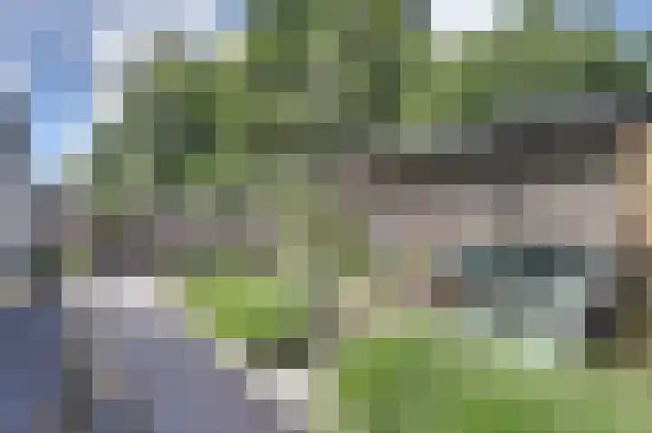 Teldershof 2 Oosterhout thumbnail 32