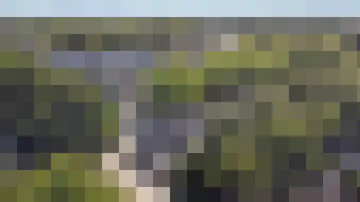 Teldershof 2 Oosterhout thumbnail 38