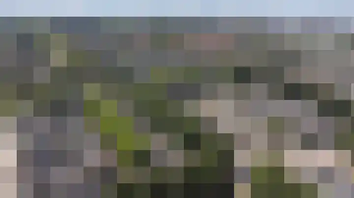Teldershof 2 Oosterhout thumbnail 42