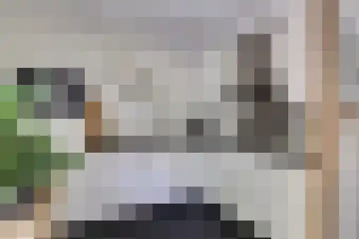 Teldershof 2 Oosterhout thumbnail 5