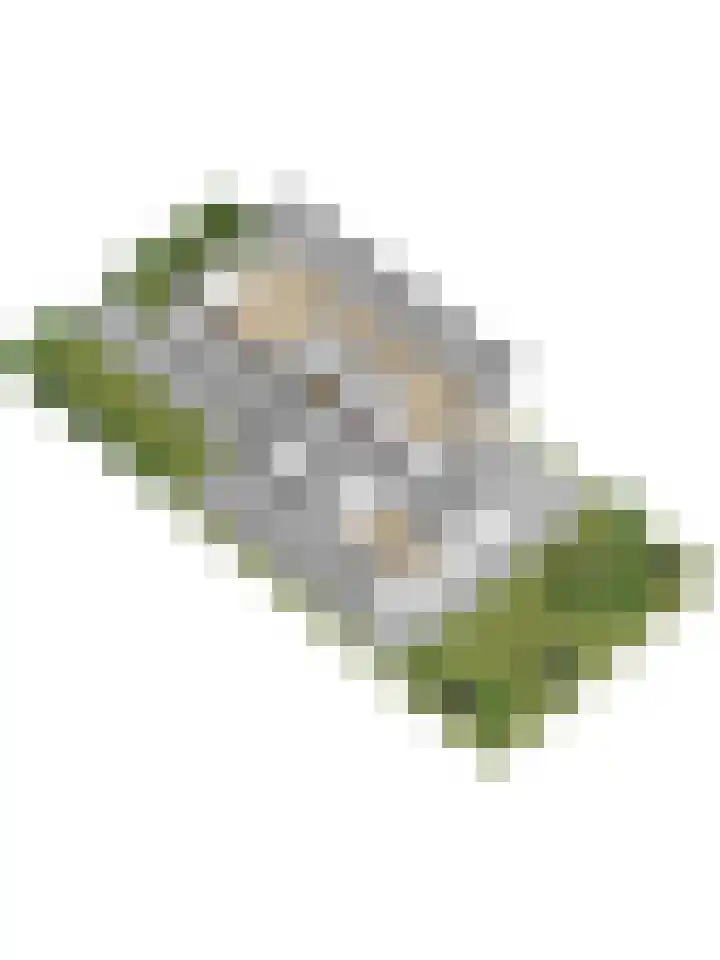 Teldershof 2 Oosterhout thumbnail 50
