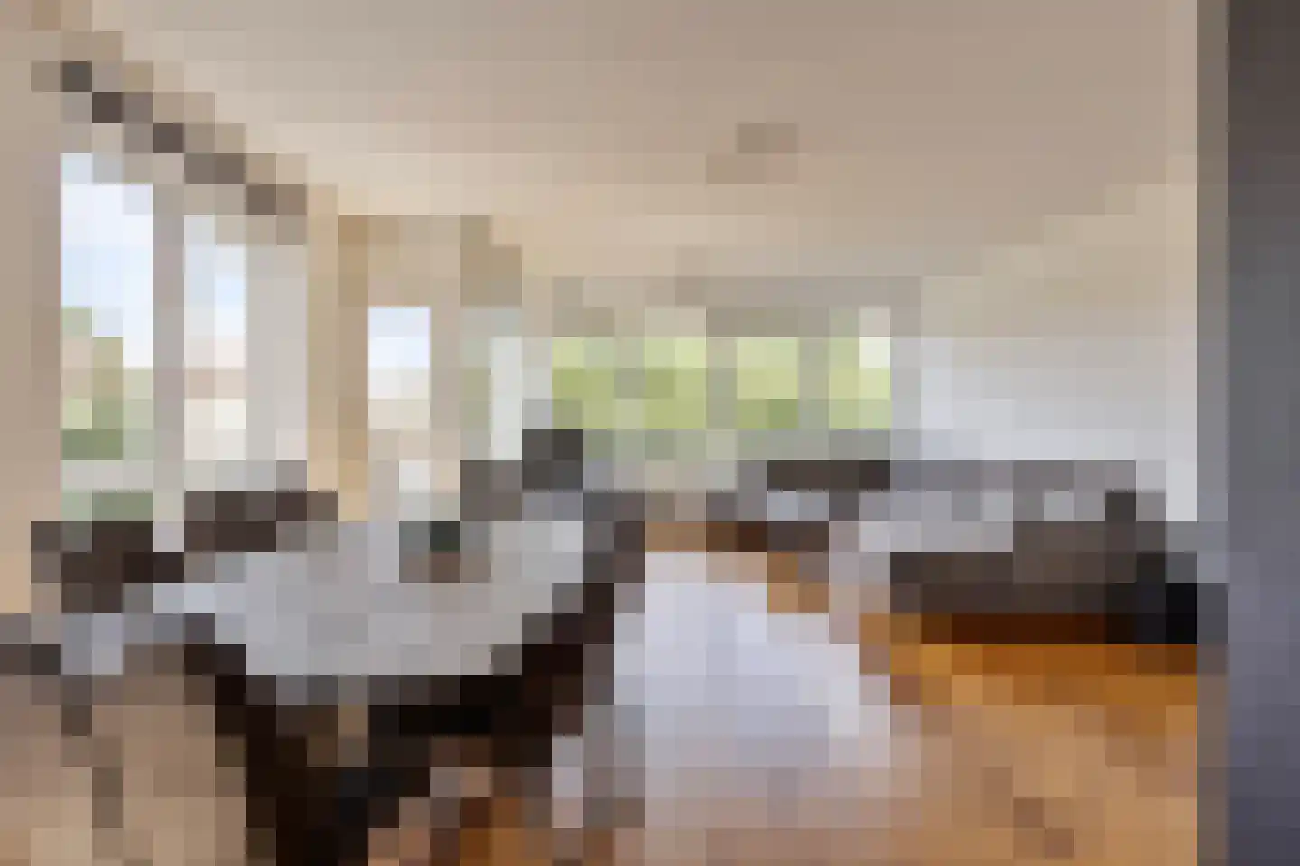 Teldershof 56 Amsterdam thumbnail 8