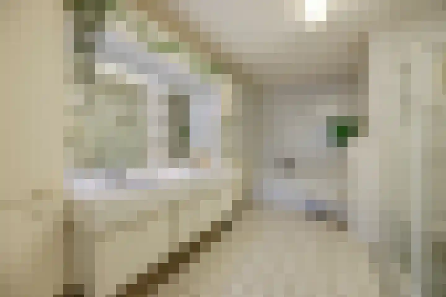Teldershof 70 Oosterhout thumbnail 34