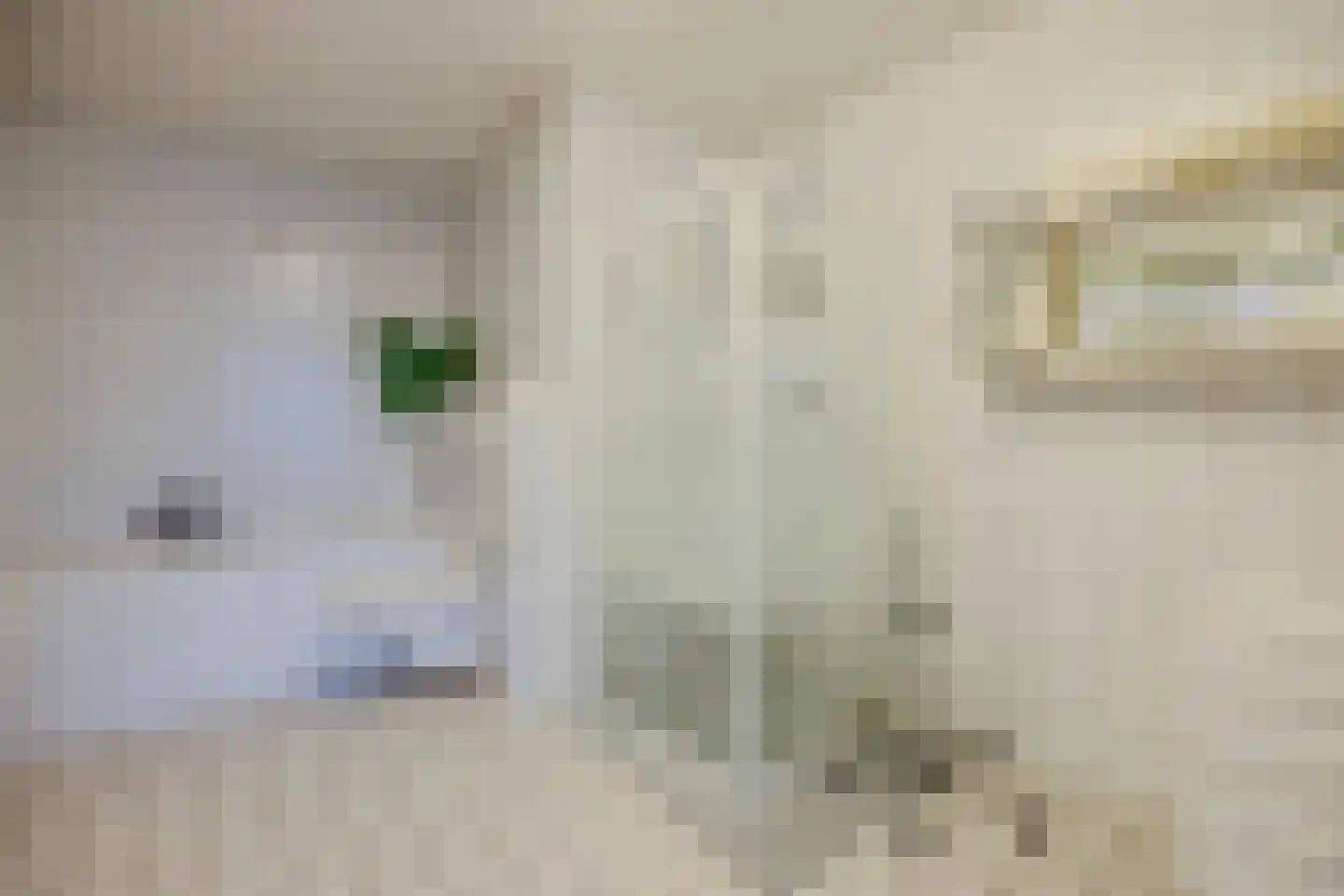 Teldershof 70 Oosterhout thumbnail 37