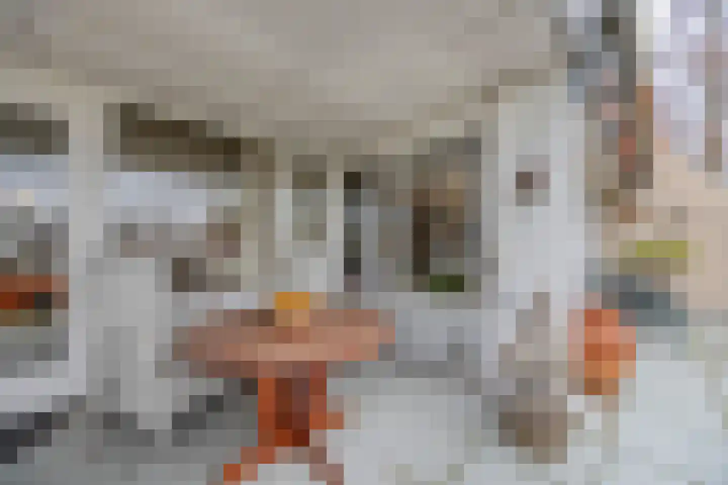 Teldershof 70 Oosterhout thumbnail 40