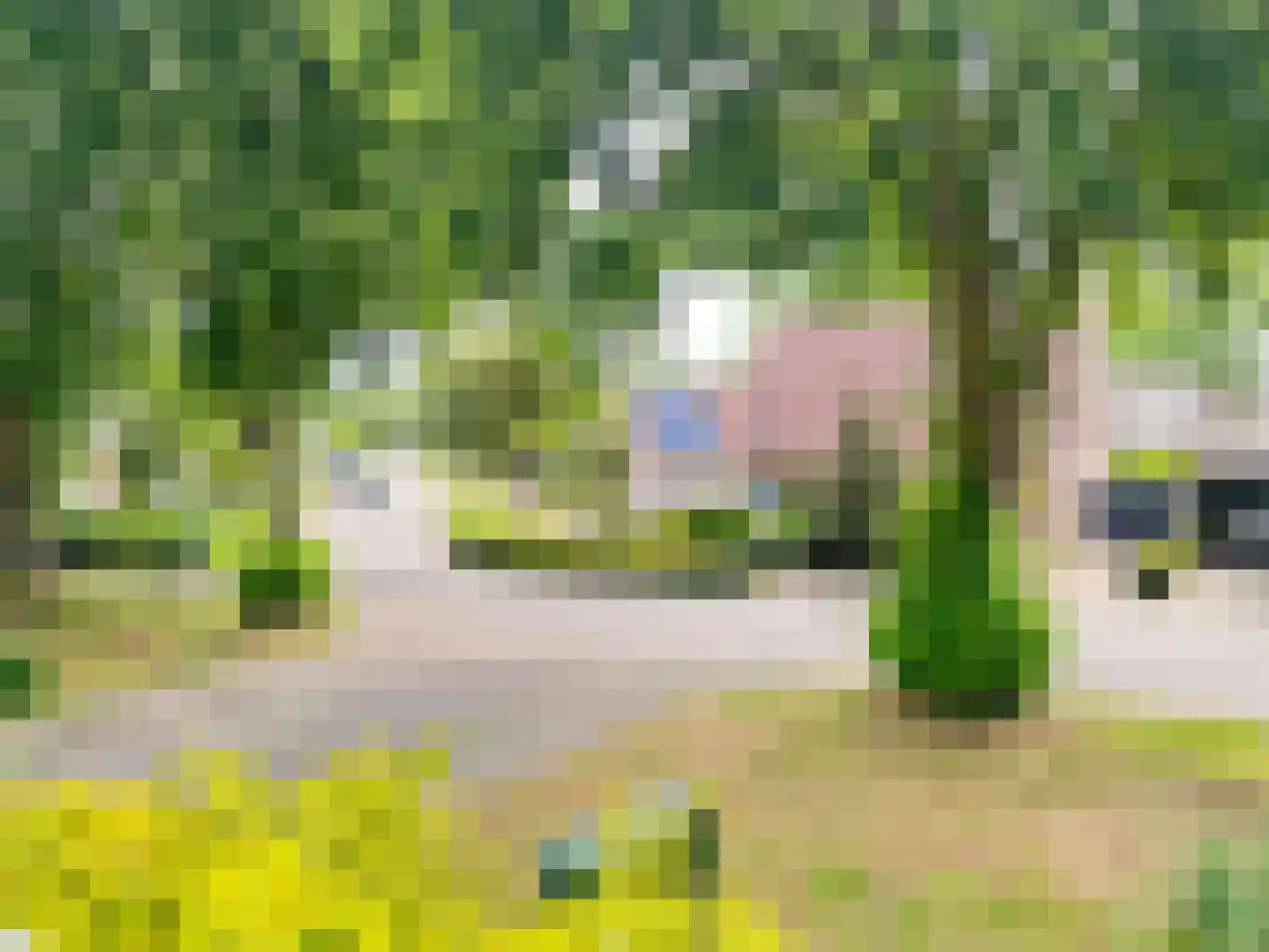 Teldershof 70 Oosterhout thumbnail 40